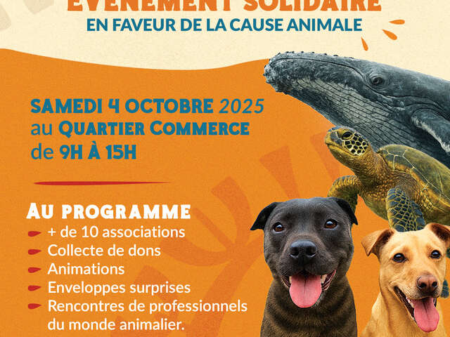 Anim' Action - Quartier du Commerce