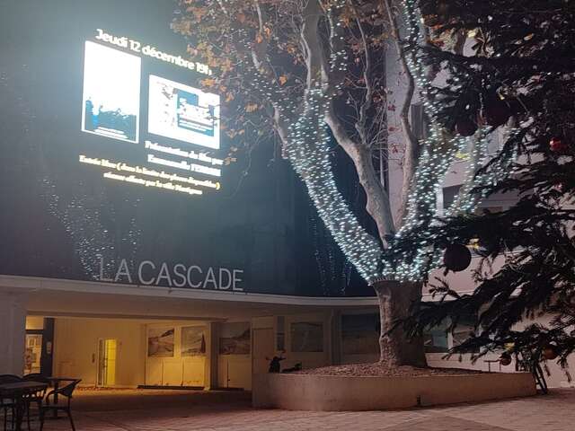 Spectacle son et lumière de Noël