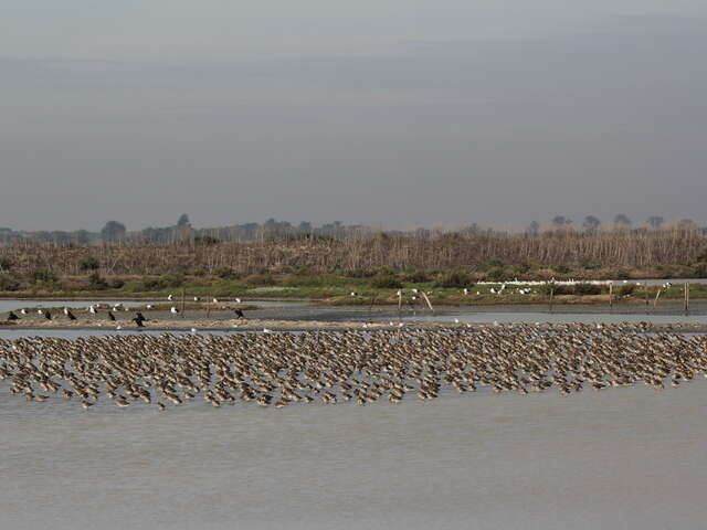 la Réserve Naturelle en famille