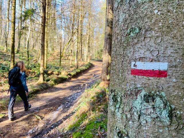 GR®7 Ligne de partage des eaux : Col Pin Bouchain / Tour Matagrin