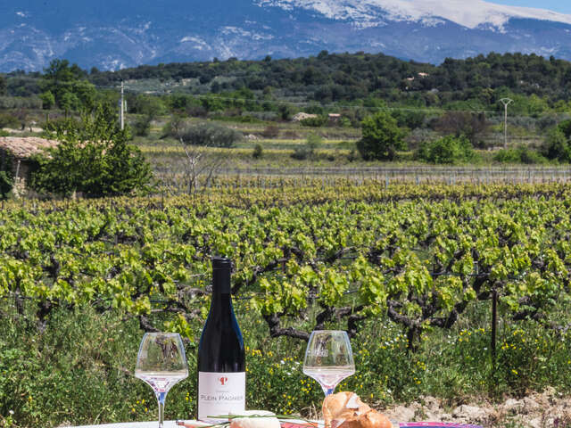 Pique-nique vigneron au Domaine Plein Pagnier