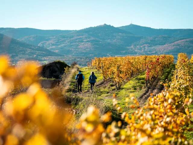 Rando itinérance douce sur le chemin de Saint-Jacques GR65