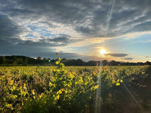 Domaine de l'Ancien Prieuré