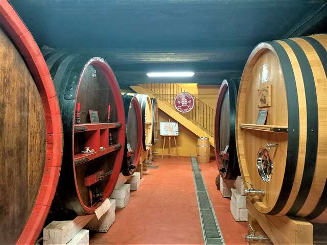 Apéritif vigneron au Domaine du Galet des Papes
