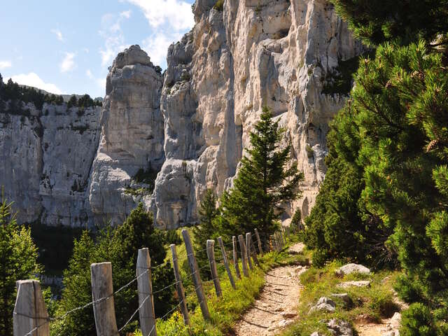 Croix de l'Aulp du seuil - Top