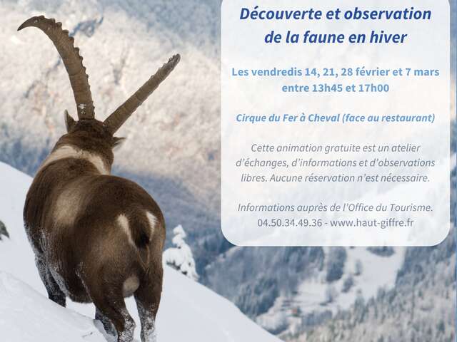 Animation "Les animaux face à l'hiver"