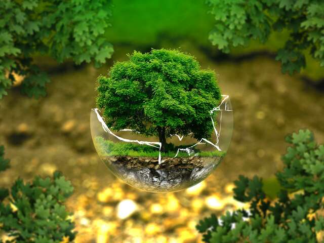 Atelier : Biodiversité en danger, du constat à l’action