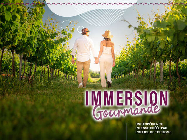 Immersion gourmande : Balade dans les vignes