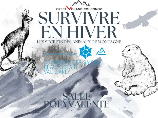 Survivre en hiver : les secrets des animaux de montagne