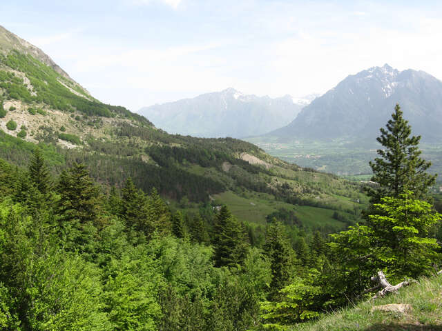 Sentier botanique Dominique Villars