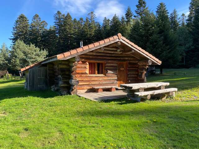 Fustes sous les étoiles