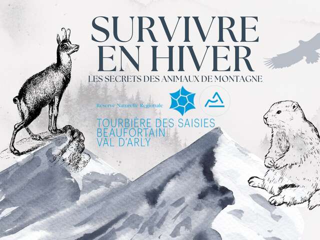 Survivre en hiver : les secrets des animaux de montagne