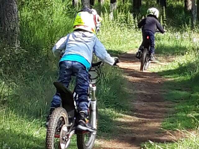 Pilotes en herbe
