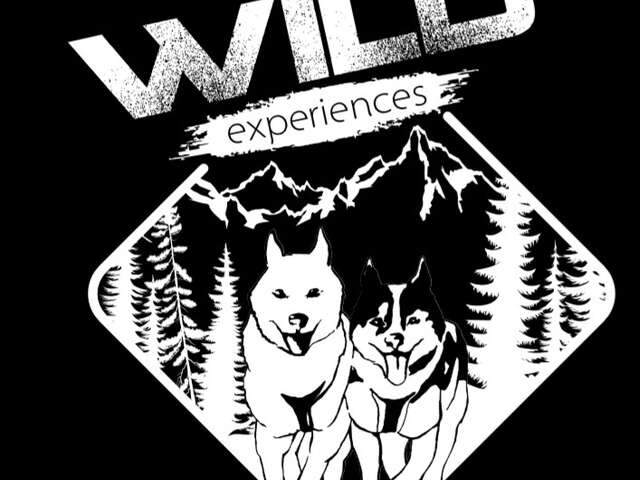 Wild Expériences chiens de traineau