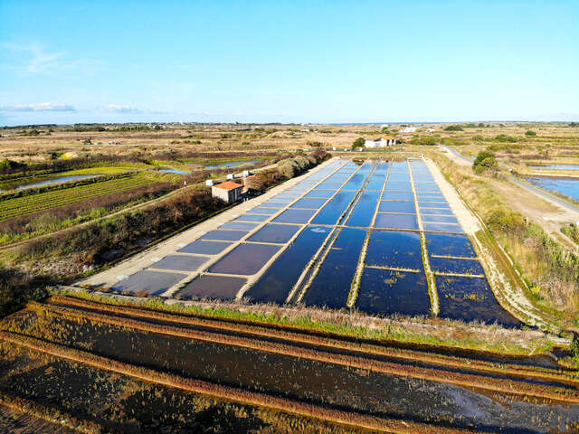 Rivesaline