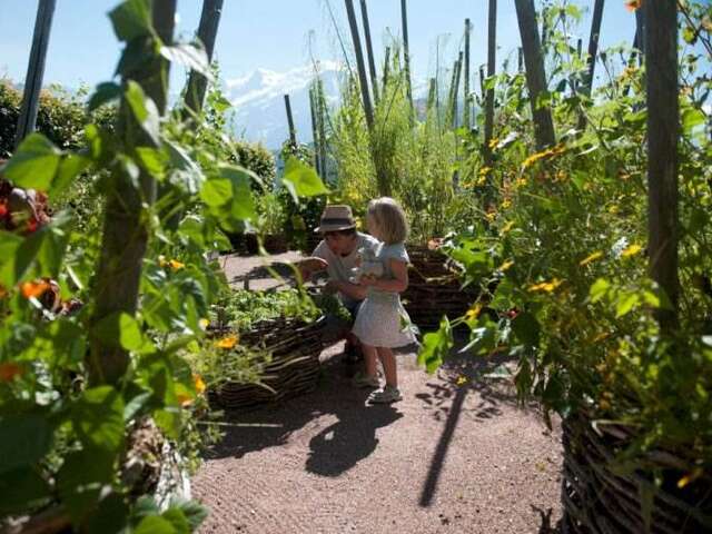 Visite guidée du Jardin des Cimes