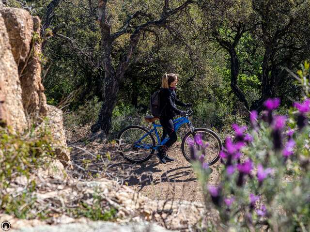 Sentier de Grimaud à la Garde Freinet par les Vernades