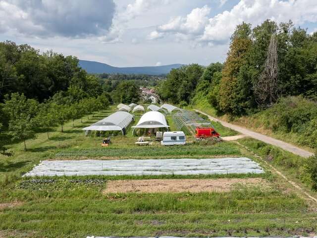 Les Pieds dans le Local®, spécial producteurs ! Visite d'exploitation : Choupatates