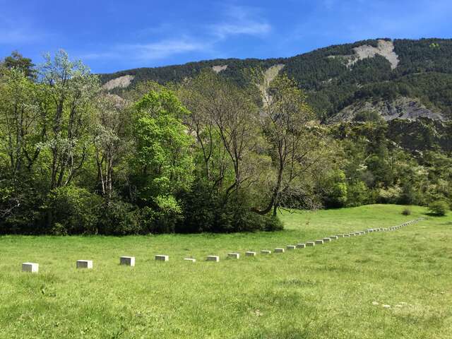 Bois de la Julie