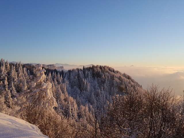 Snowshoeing treks : La croix du Nivolet