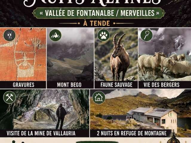 Séjour "1001 nuits Alpines"