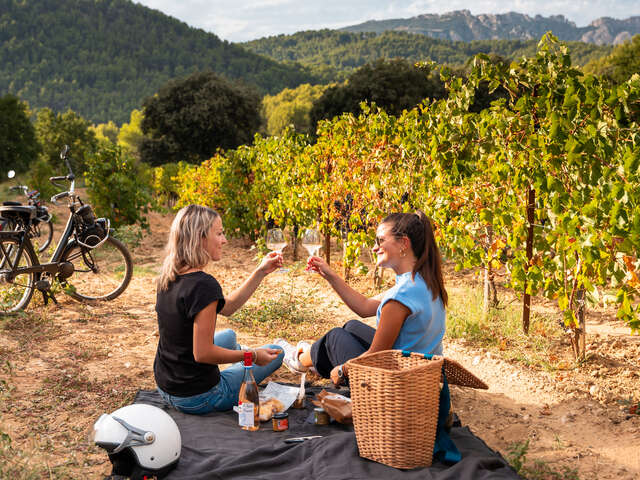 Les paniers pique-nique de Xavier Vignon La Boutique