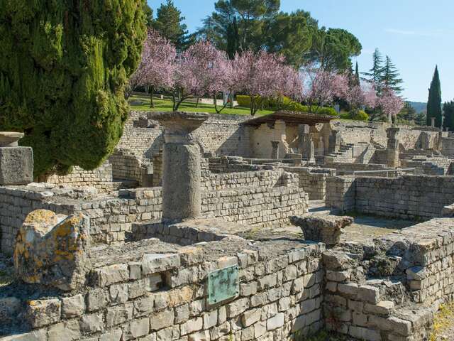 Le parc archéologique de Vaison-la-Romaine