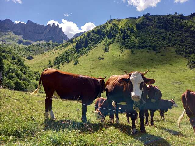 Balade découverte : Le réveil des alpages
