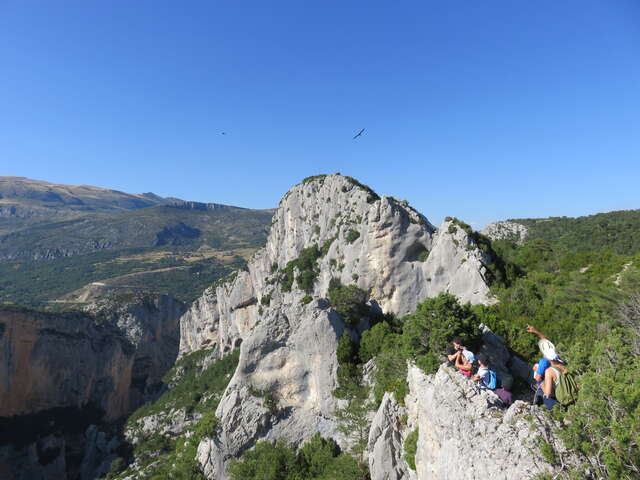 Randonnée à la découverte des vautours du Verdon