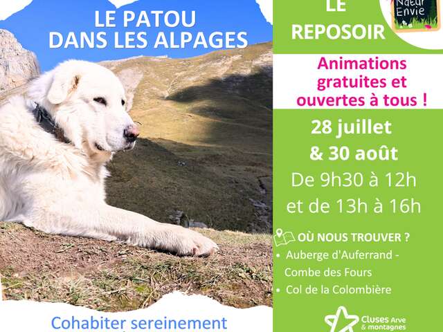 Sensibilisation des randonneurs face aux chiens de protection - Le Reposoir