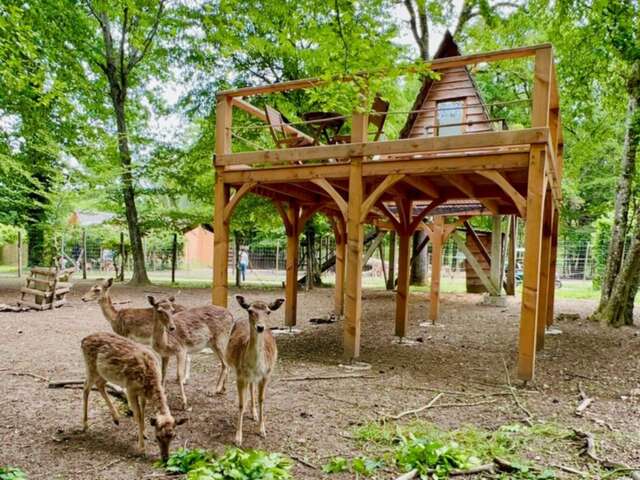 Cabanes perchées Cerfs et Rennes - DDLD