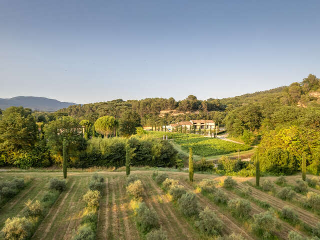 Visite de l'oliveraie de la Bastide Du Laval