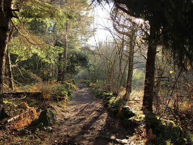 Sentier des Mégalithes de Daniecq