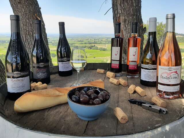 Visite du vignoble et de la cave - Domaine Beau Mistral