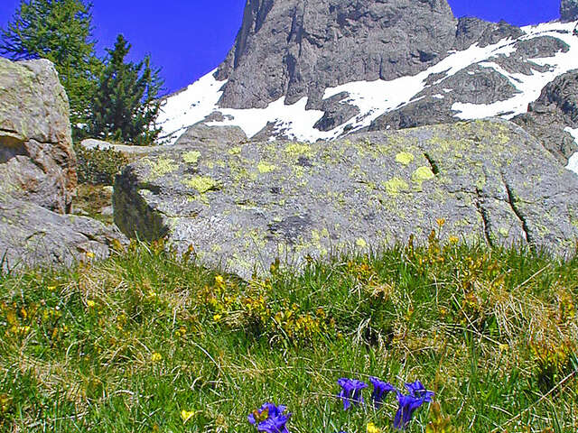Le  Mercantour : 70 ans de protection de la nature racontés par le plus ancien garde-moniteur en service