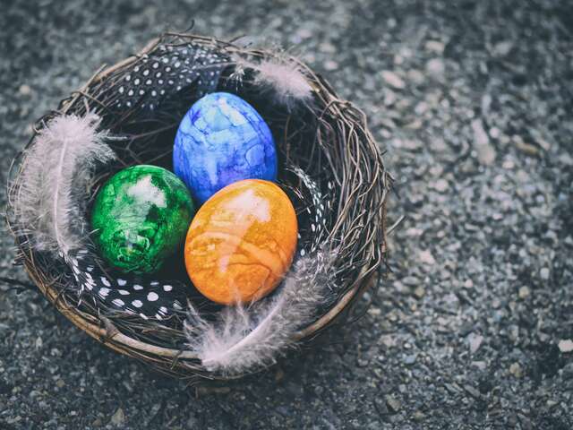 Rallye Photo : Chasse aux oeufs revisitée !