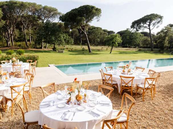 Immersion in the heart of a vineyard: wines, games and discoveries