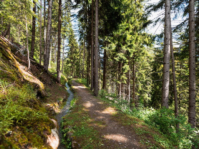 Bisse des Ravines