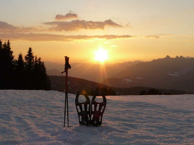 Balade nocturne & fondue Savoyarde en refuge