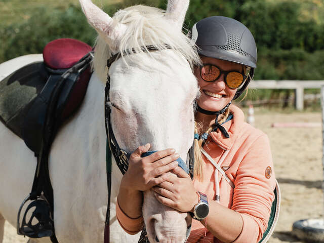 All about the ponies