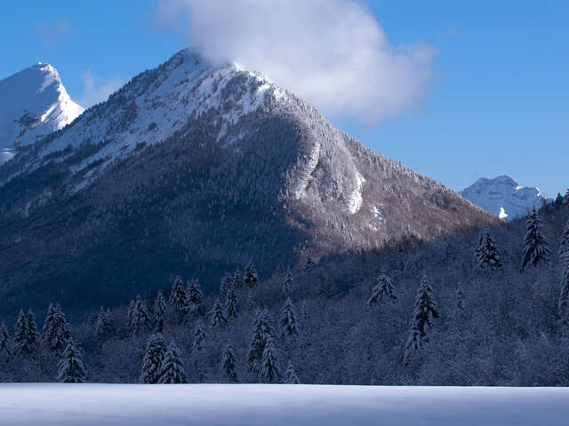Snowshoeing treks 'Le Cernay'