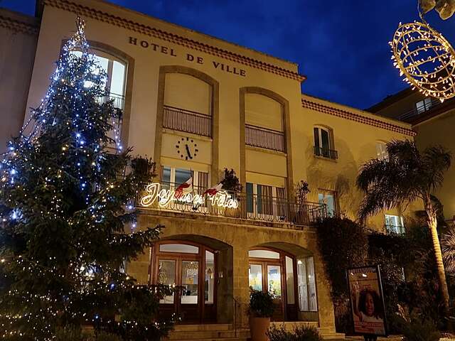 Launch of the illuminations and opening of the Christmas market