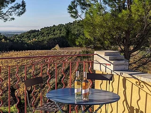 Pique-nique en plein air au Clos de Caveau