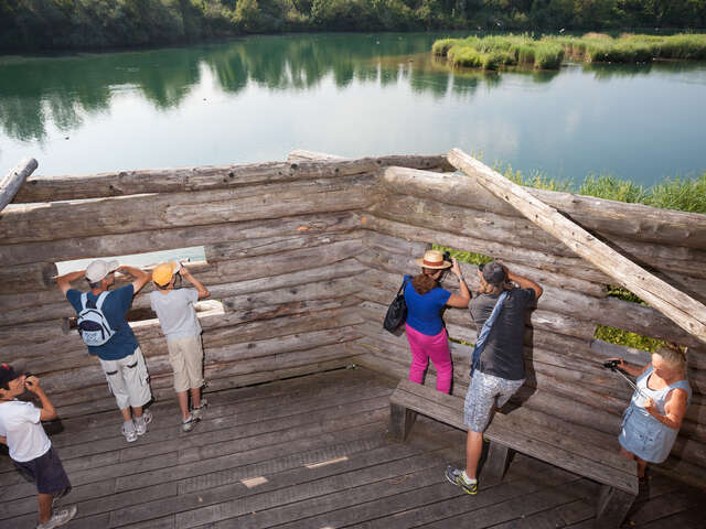 Visite de la Réserve Naturelle du Delta de la Dranse