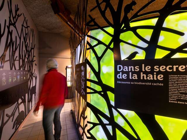 Exposition : Dans le secret de la haie