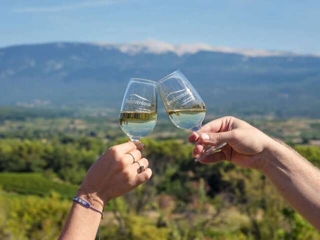 Balade vigneronne dans les ocres