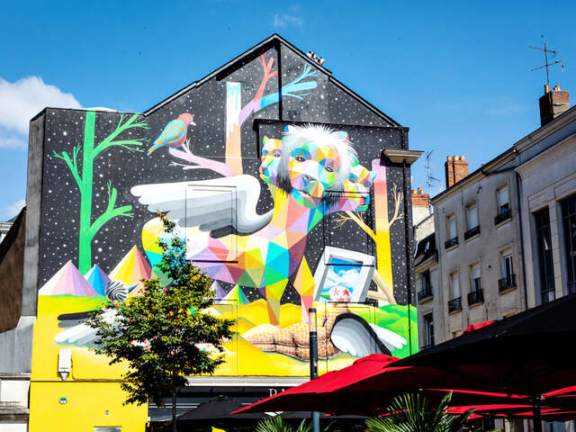 Guided tour: Angers street art