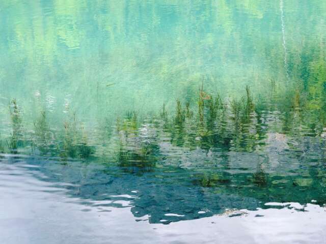 EXPO photographies Giandra DE CASTRO