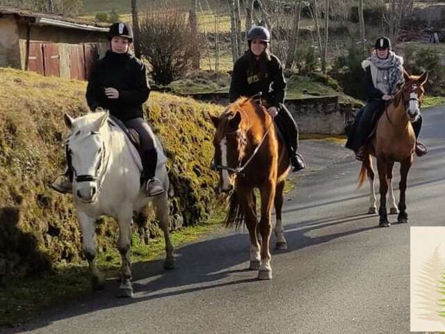 activités équestres - balades - médiation équine