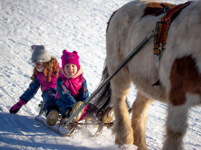 Découverte du poney luge